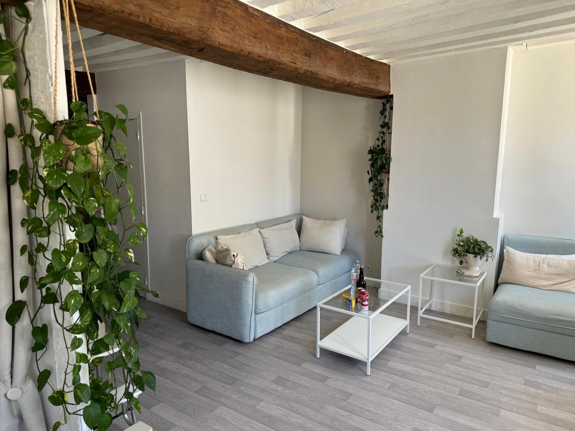 Appartement Central - 올리언스 외부 사진