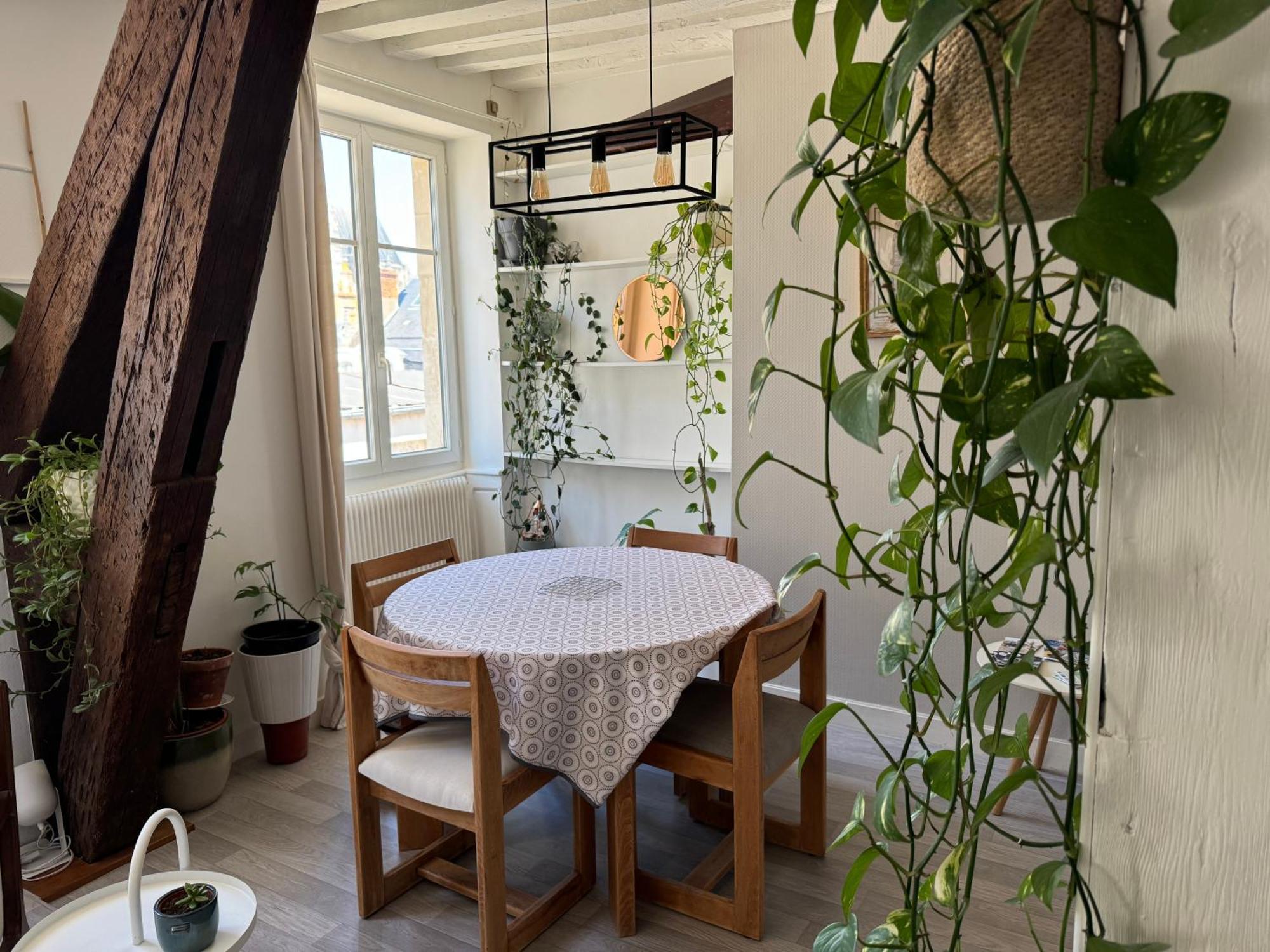 Appartement Central - 올리언스 외부 사진