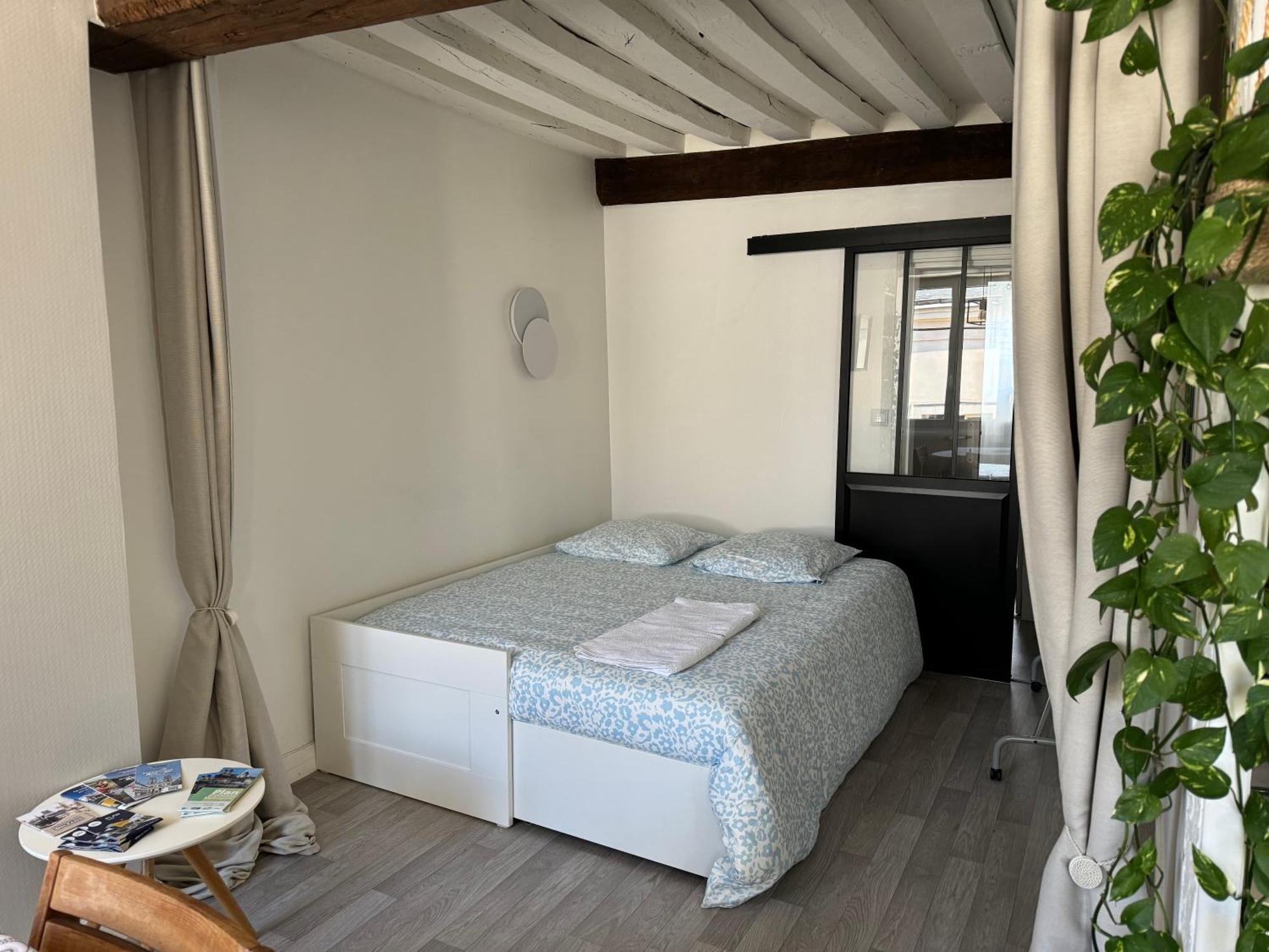 Appartement Central - 올리언스 외부 사진