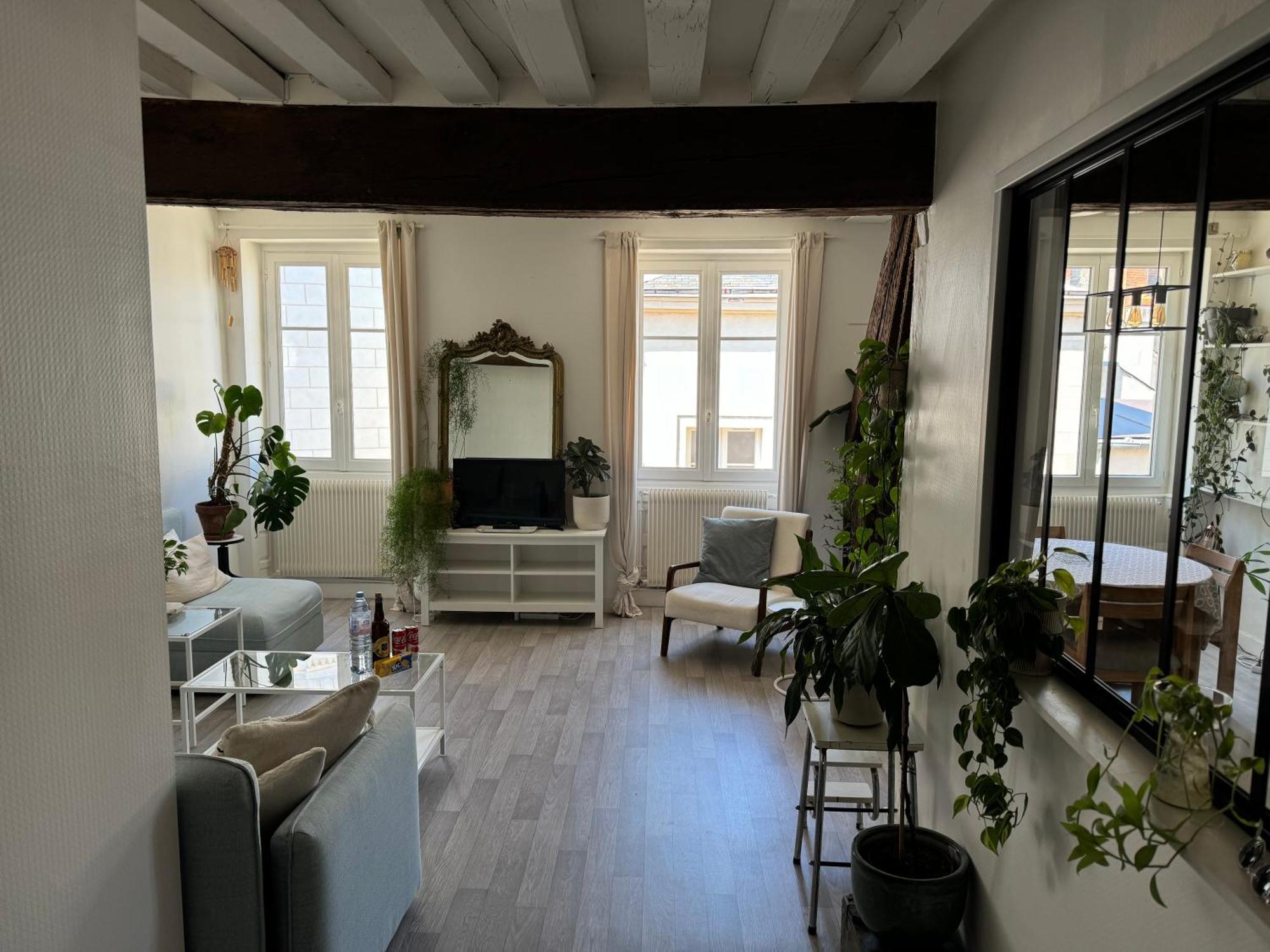 Appartement Central - 올리언스 외부 사진